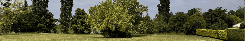 Espace vert avec pelouse entretenue, arbres et haies décoratives