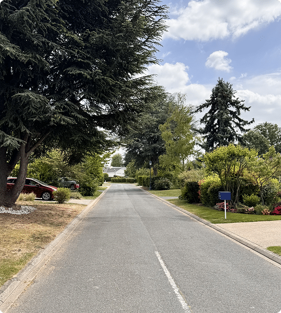 Rue résidentielle avec espaces verts fleuris et arbres bordant la chaussée