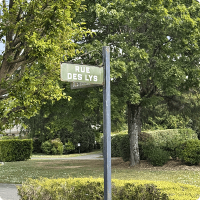 Panneau de la Rue des Lys entouré d’arbres et de végétation dans un quartier résidentiel